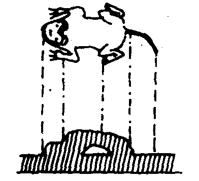 宝博微课堂丨铜镜博览会之三——镜钮集锦 宝博微课堂丨铜镜博览会之三——镜钮集锦