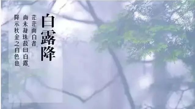 宝博微课堂|节气系列：风吹一片叶 万物已惊秋——立秋