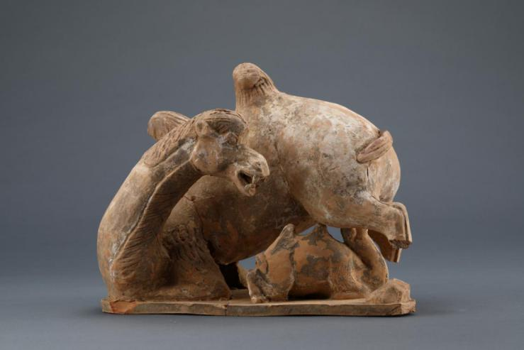 线上展览 | “和合与共” ·交融生美(一)国际动物·鸟语花香 线上展览 | “和合与共” ·交融生美(一)国际动物·鸟语花香