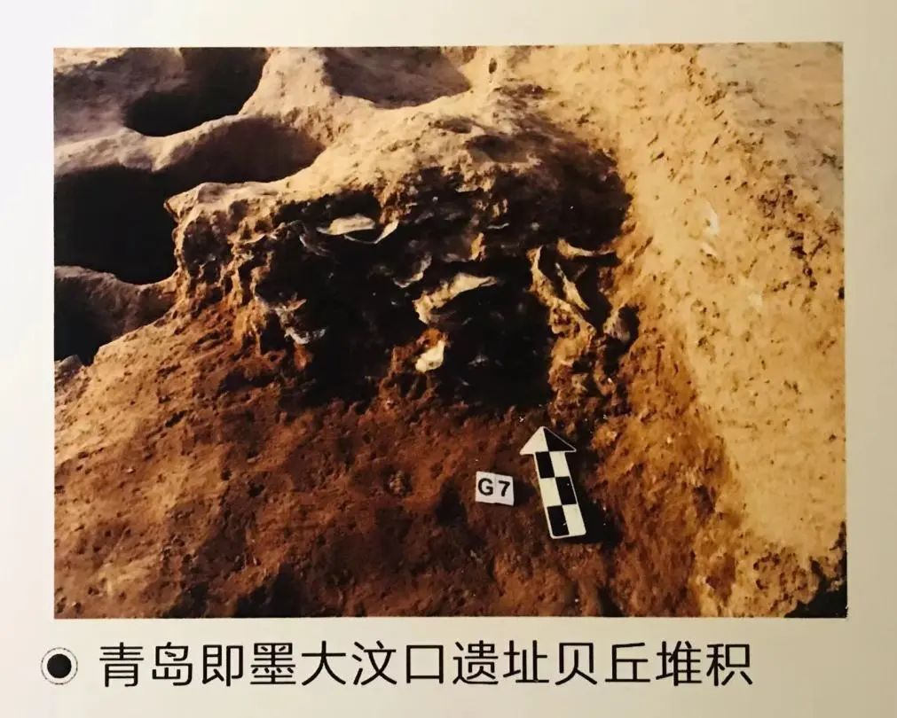 喜迎二十大 风好正扬帆|中国古代航海史(上) 喜迎二十大 风好正扬帆|中国古代航海史(上)