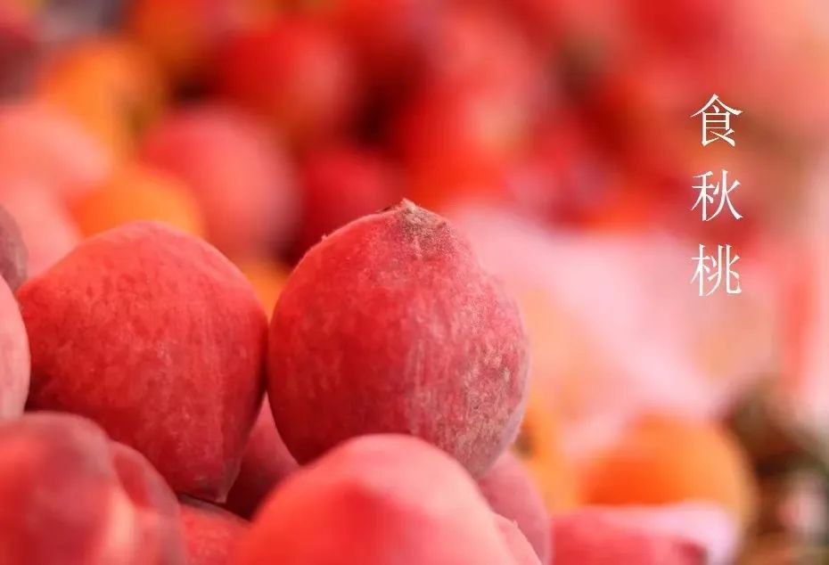 宝博微课堂|节气系列：风吹一片叶 万物已惊秋——立秋