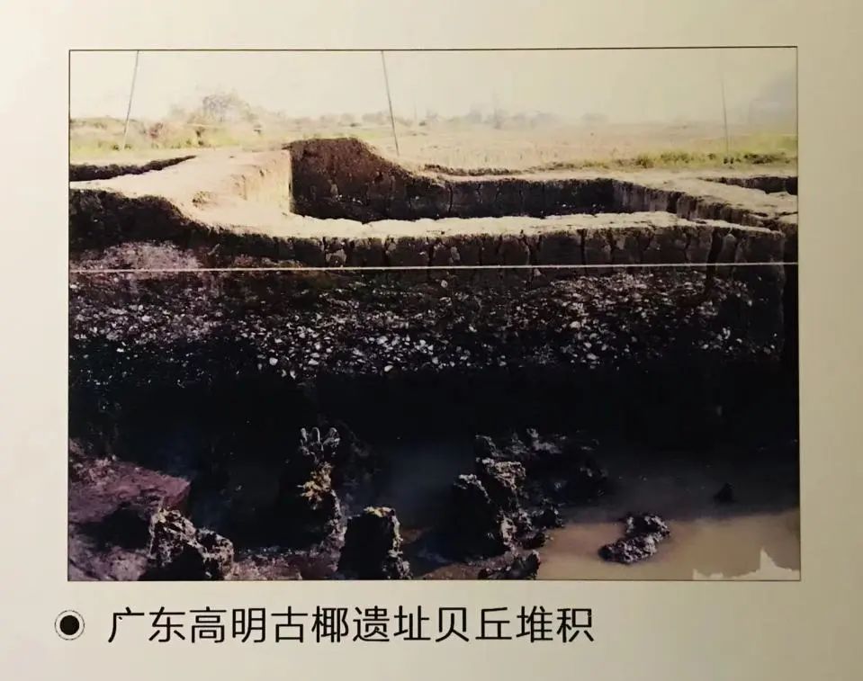 喜迎二十大 风好正扬帆|中国古代航海史(上) 喜迎二十大 风好正扬帆|中国古代航海史(上)