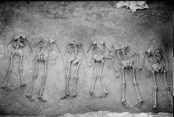 线上展览丨器·鉴（二）  崇德之以民为本