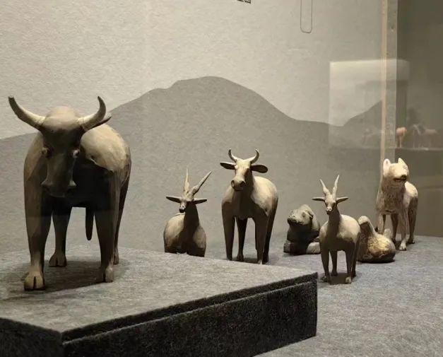 新展速览| “和合与共” 持续升温 精彩内容 一网打尽! 新展速览| “和合与共” 持续升温 精彩内容 一网打尽!