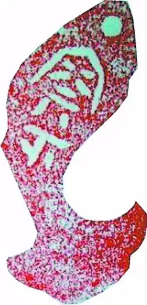 宝博微课堂——铜镜博览会之十三:金代双鱼镜 宝博微课堂——铜镜博览会之十三:金代双鱼镜