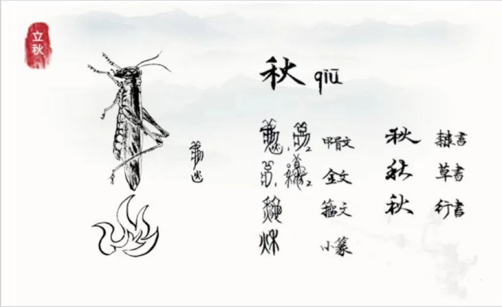 宝博微课堂|节气系列：风吹一片叶 万物已惊秋——立秋