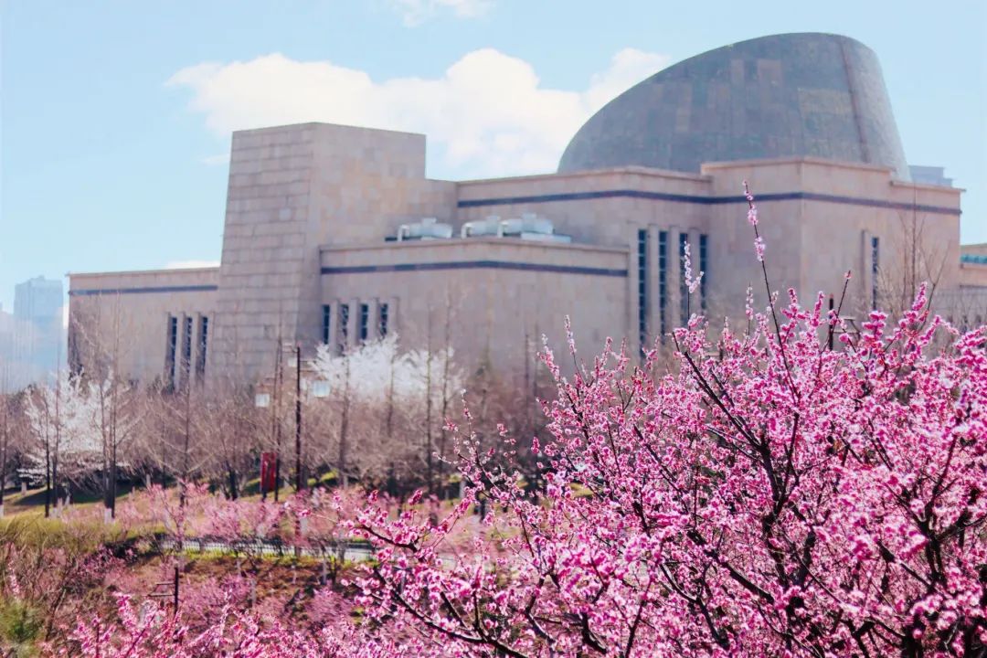 宝博微课堂|节气系列——清明 宝博微课堂|节气系列——清明