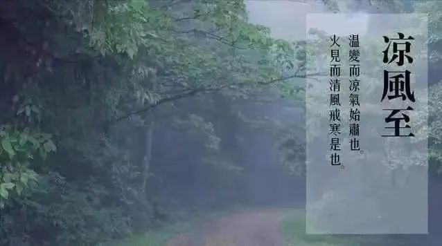 宝博微课堂|节气系列：风吹一片叶 万物已惊秋——立秋