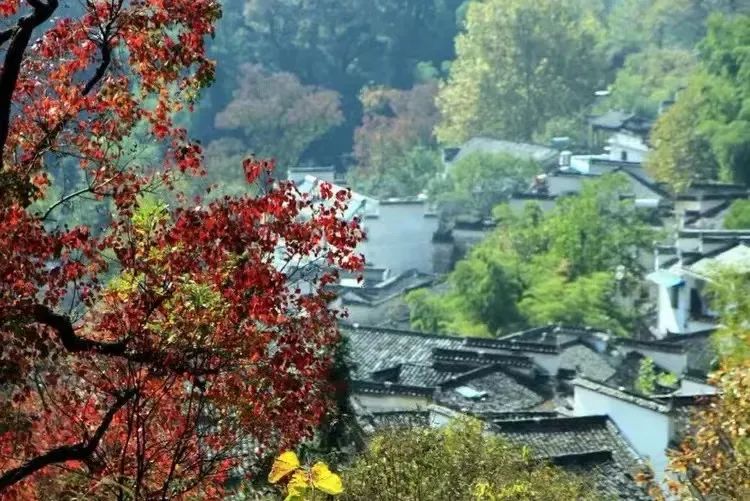 宝博微课堂|节气系列:处暑——清风徐来 秋将至 宝博微课堂|节气系列:处暑——清风徐来 秋将至