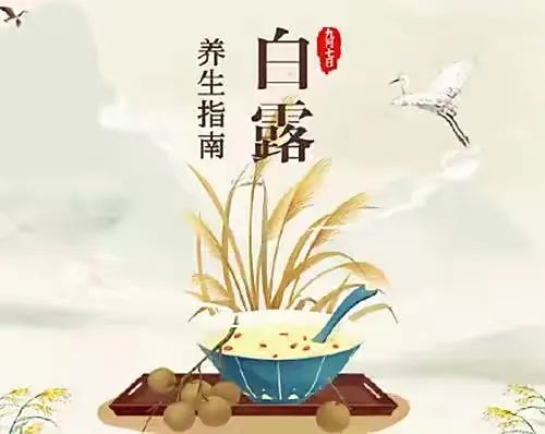 宝博微课堂|节气系列:白露——蒹葭苍苍 白露为霜 宝博微课堂|节气系列:白露——蒹葭苍苍 白露为霜