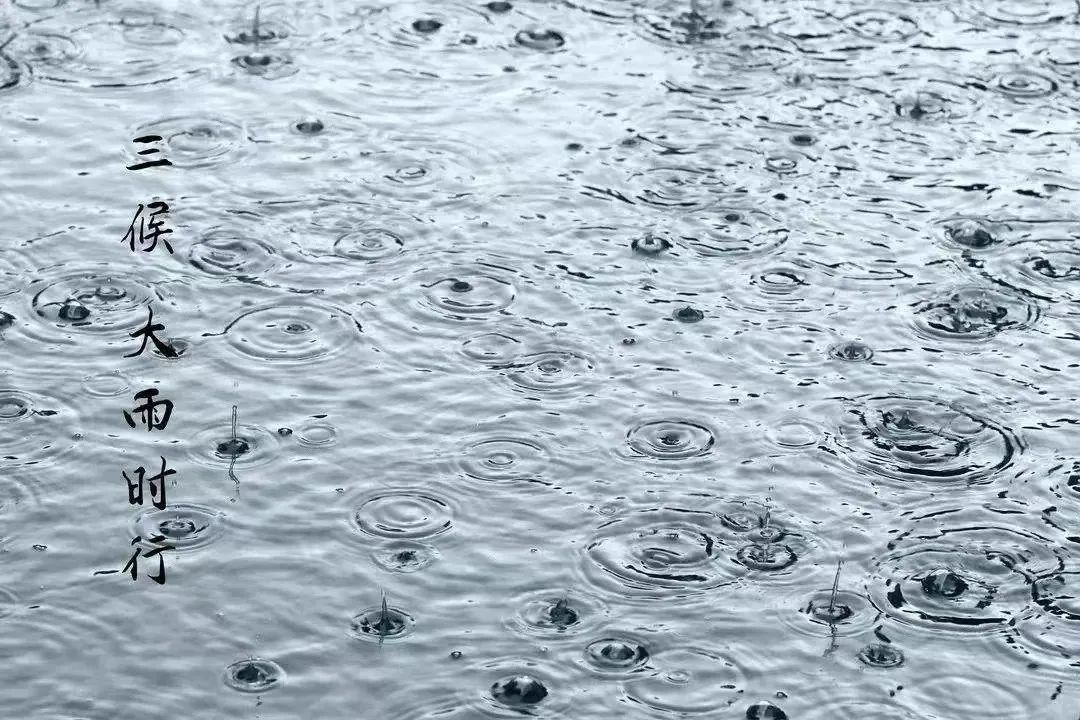 宝博微课堂|节气系列：大暑——炎暑如蒸 烈日迟暮