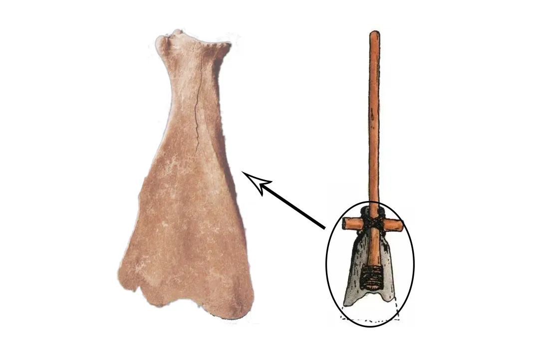 线上展览丨“器·鉴”(一) 公私起源 线上展览丨“器·鉴”(一) 公私起源