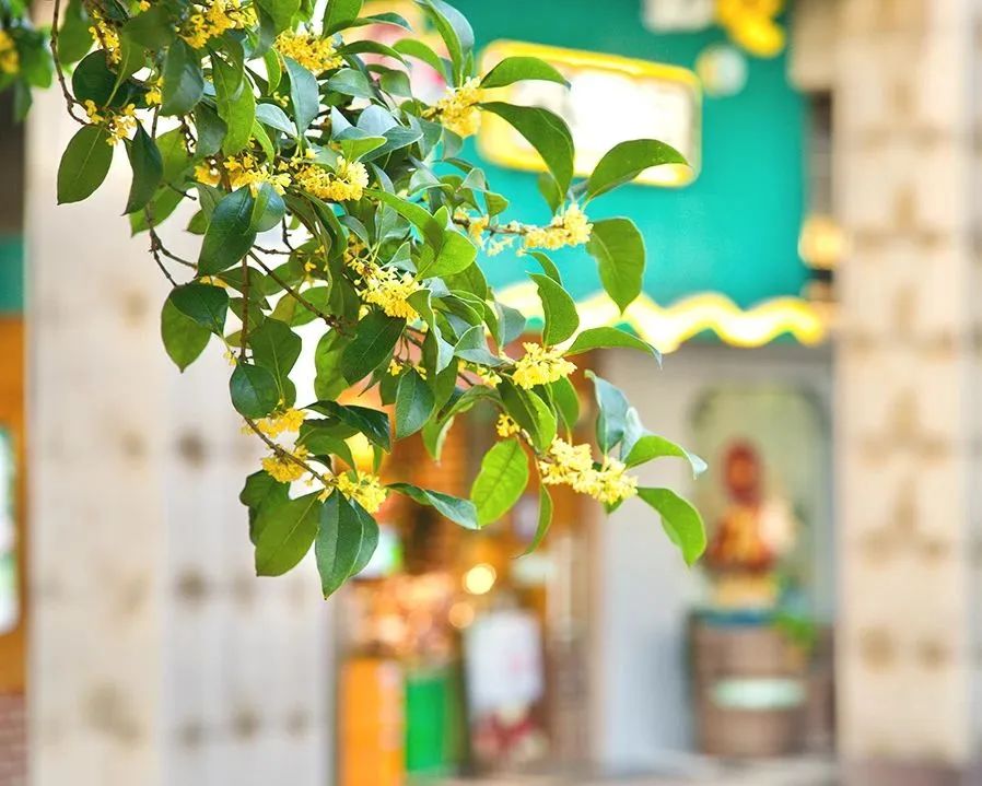 科技之春伴我行——流动博物馆进校园 科技之春伴我行——流动博物馆进校园