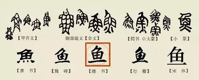 宝博微课堂——铜镜博览会之十三:金代双鱼镜 宝博微课堂——铜镜博览会之十三:金代双鱼镜