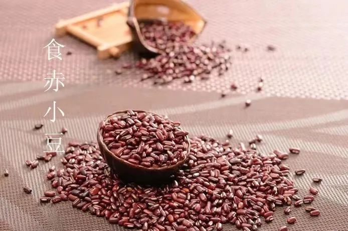 宝博微课堂|节气系列：风吹一片叶 万物已惊秋——立秋