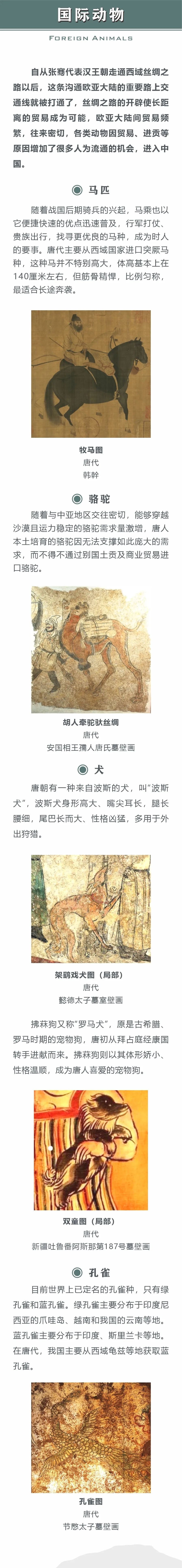 线上展览 | “和合与共” ·交融生美(一)国际动物·鸟语花香 线上展览 | “和合与共” ·交融生美(一)国际动物·鸟语花香