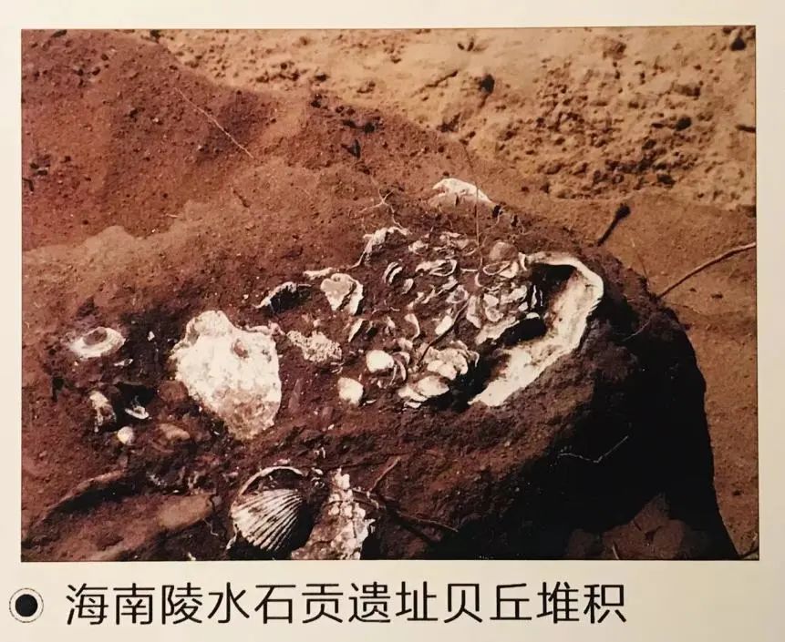 喜迎二十大 风好正扬帆|中国古代航海史(上) 喜迎二十大 风好正扬帆|中国古代航海史(上)