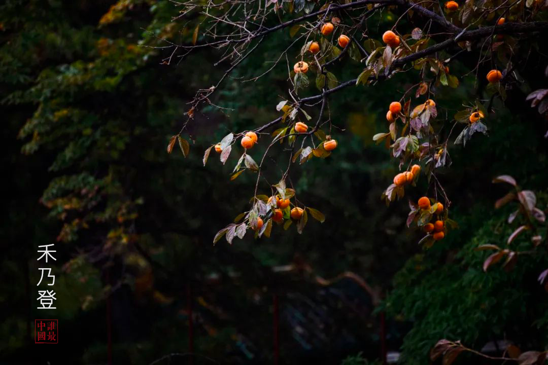宝博微课堂|节气系列:处暑——清风徐来 秋将至 宝博微课堂|节气系列:处暑——清风徐来 秋将至