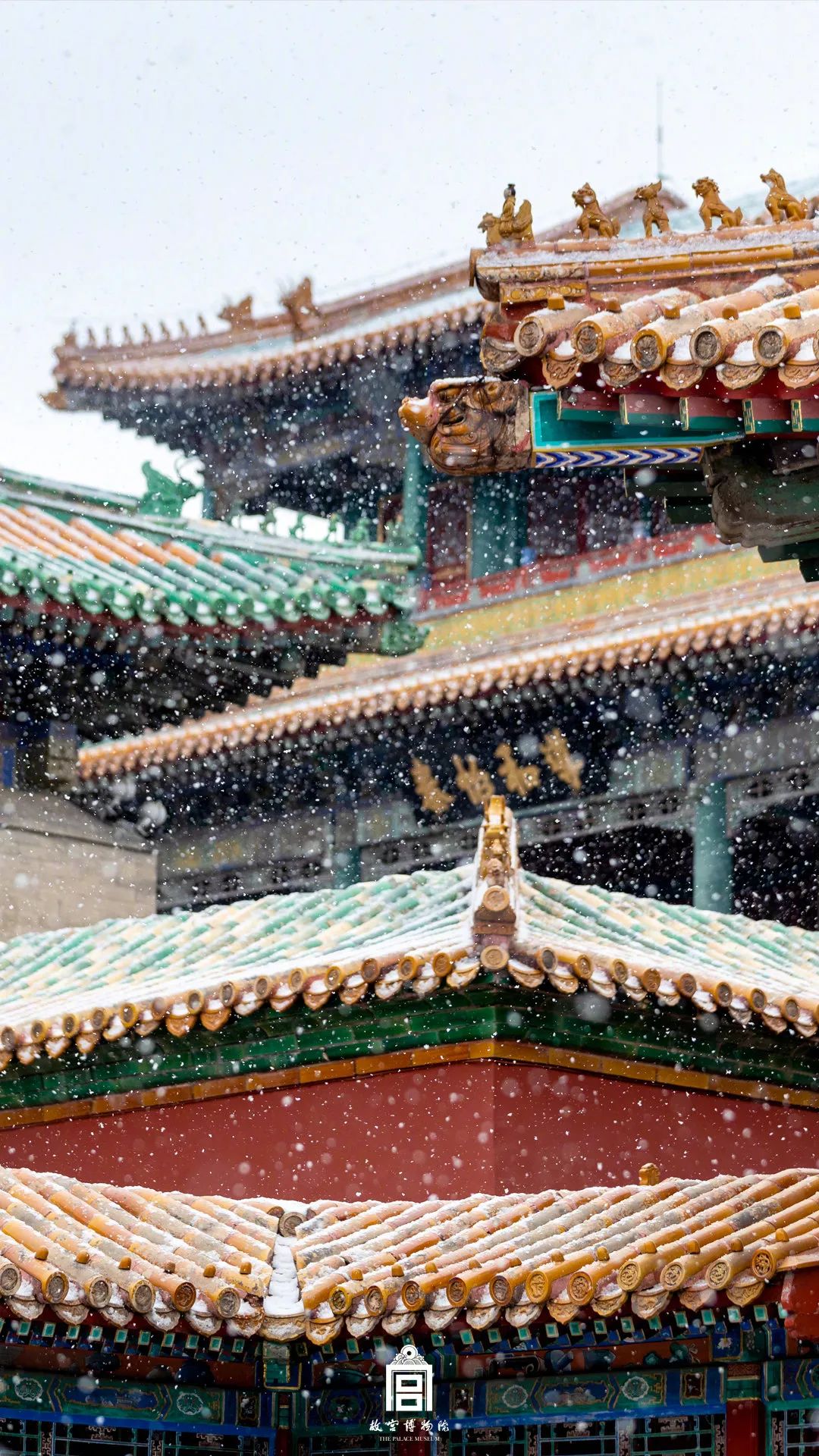 何尊带你赏故宫雪景 何尊带你赏故宫雪景