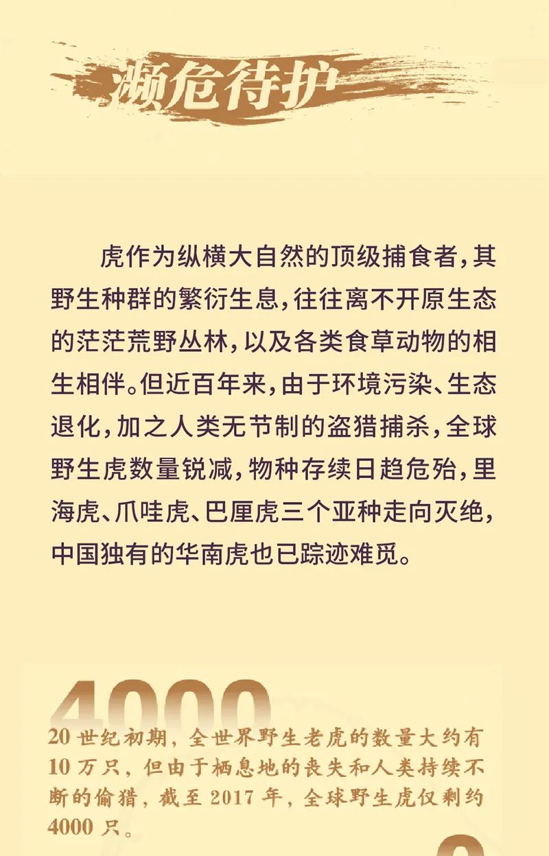 《虎虎生福——2022壬寅(虎年)新春生肖文物图片联展》线上展览第一期 《虎虎生福——2022壬寅(虎年)新春生肖文物图片联展》线上展览第一期