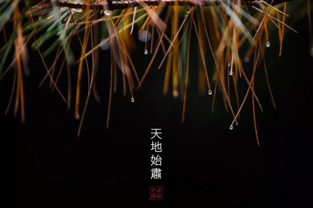 宝博微课堂|节气系列:处暑——清风徐来 秋将至 宝博微课堂|节气系列:处暑——清风徐来 秋将至