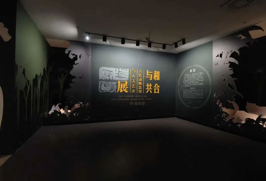 新展开幕 | “和合与共” 新春献礼 龙凤呈祥 等你打卡 新展开幕 | “和合与共” 新春献礼 龙凤呈祥 等你打卡