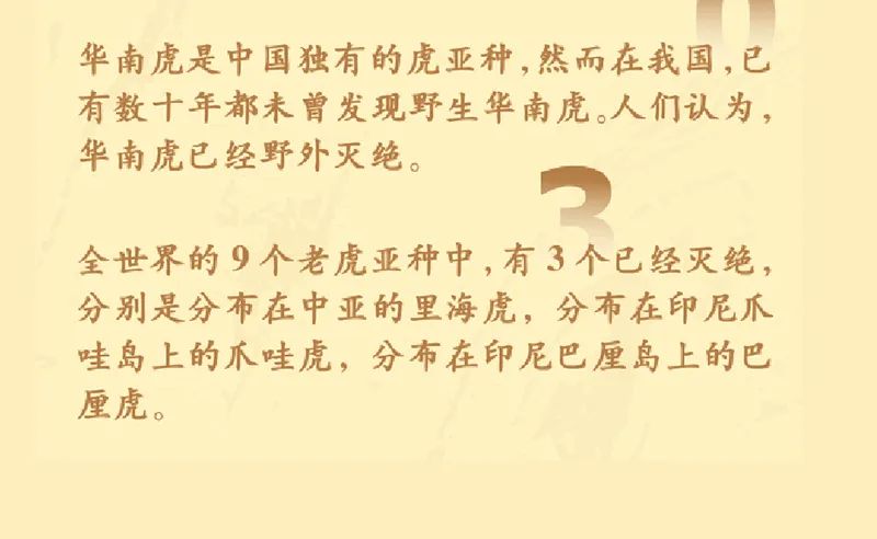 《虎虎生福——2022壬寅(虎年)新春生肖文物图片联展》线上展览第一期 《虎虎生福——2022壬寅(虎年)新春生肖文物图片联展》线上展览第一期