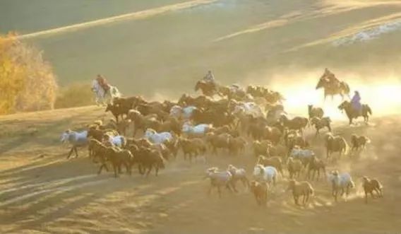 宝博微课堂|周秦故事我来讲(二十二)——非子养马 宝博微课堂|周秦故事我来讲(二十二)——非子养马