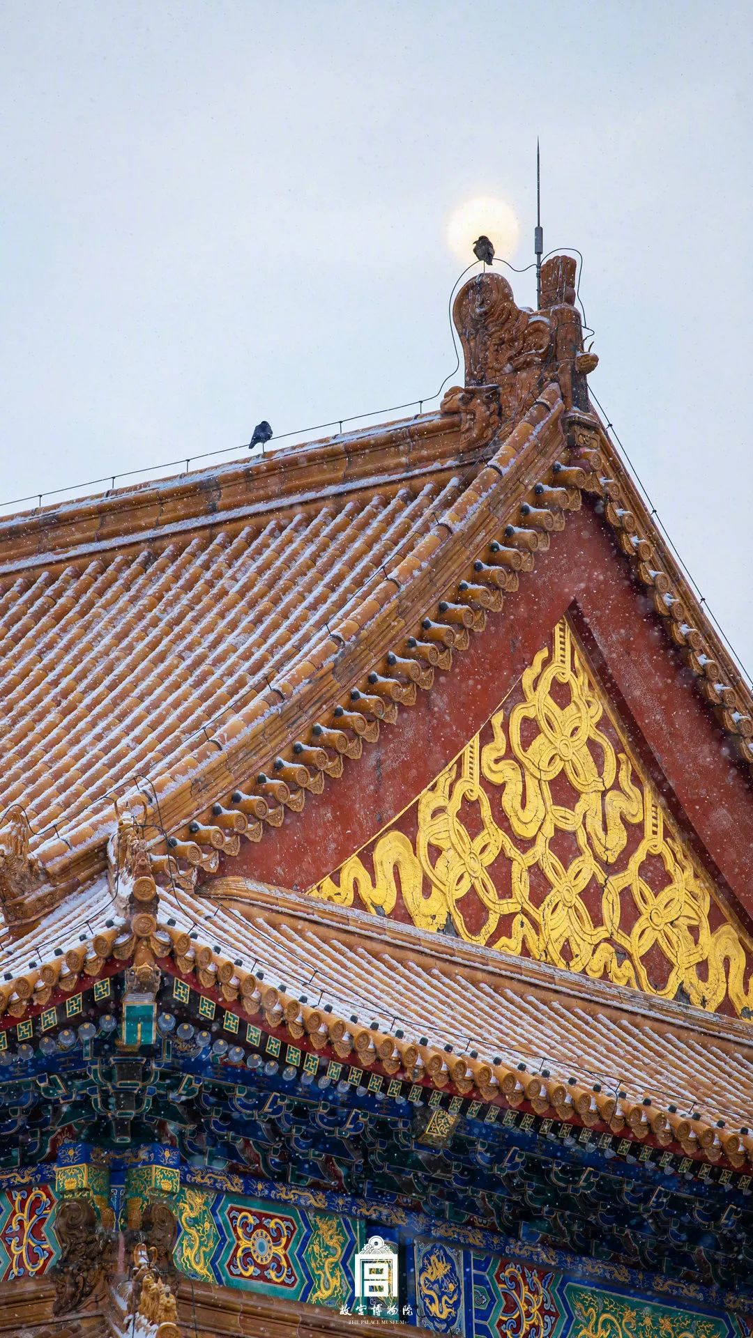 何尊带你赏故宫雪景 何尊带你赏故宫雪景