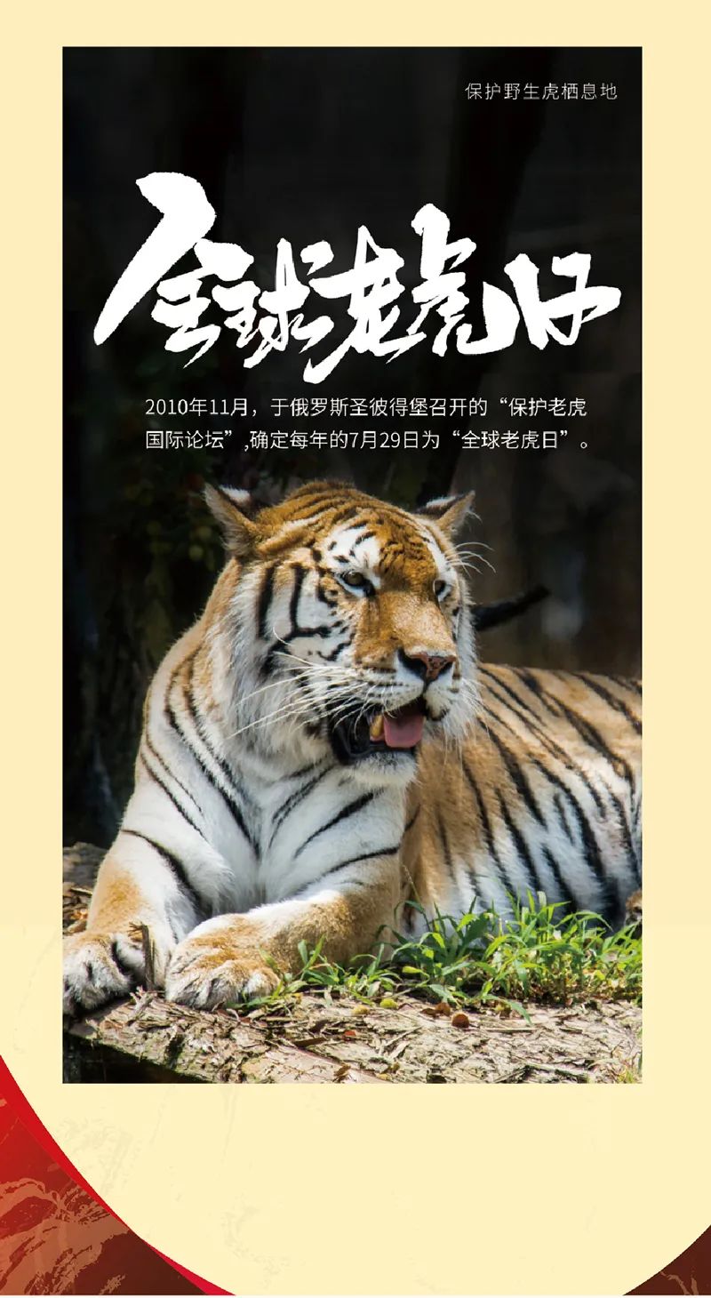 《虎虎生福——2022壬寅(虎年)新春生肖文物图片联展》线上展览第一期 《虎虎生福——2022壬寅(虎年)新春生肖文物图片联展》线上展览第一期