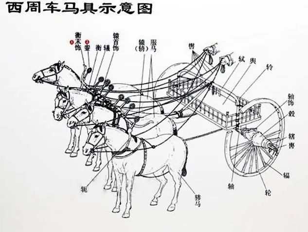 宝博微课堂:西周人兽纹辕饰 宝博微课堂:西周人兽纹辕饰