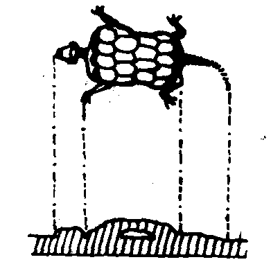 宝博微课堂丨铜镜博览会之三——镜钮集锦 宝博微课堂丨铜镜博览会之三——镜钮集锦
