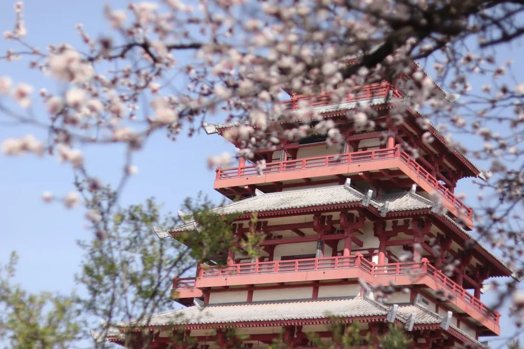 宝博微课堂|节气系列——清明 宝博微课堂|节气系列——清明