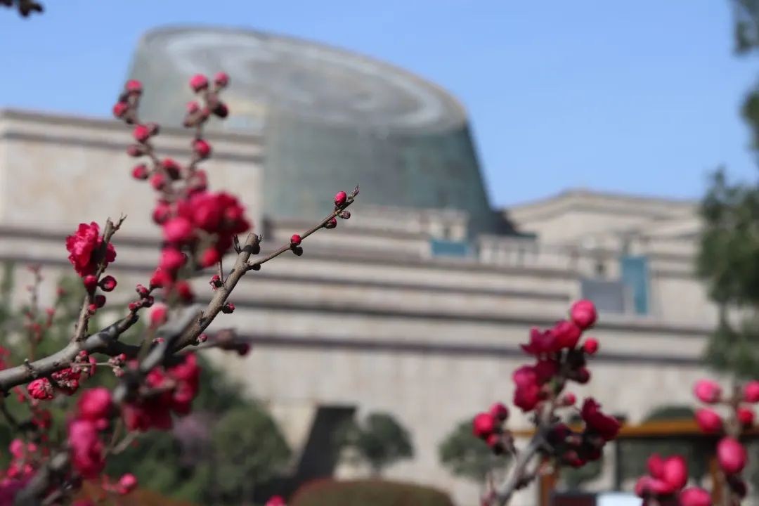 宝博微课堂|节气系列——清明 宝博微课堂|节气系列——清明