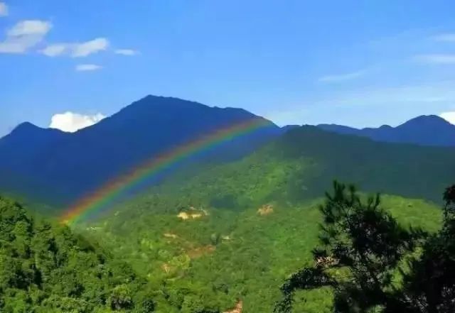 宝博微课堂|节气系列——清明 宝博微课堂|节气系列——清明