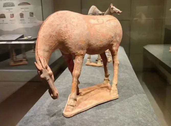 新展开幕 | “和合与共” 宝博开展 亮点纷呈 抢先来看! 新展开幕 | “和合与共” 宝博开展 亮点纷呈 抢先来看!