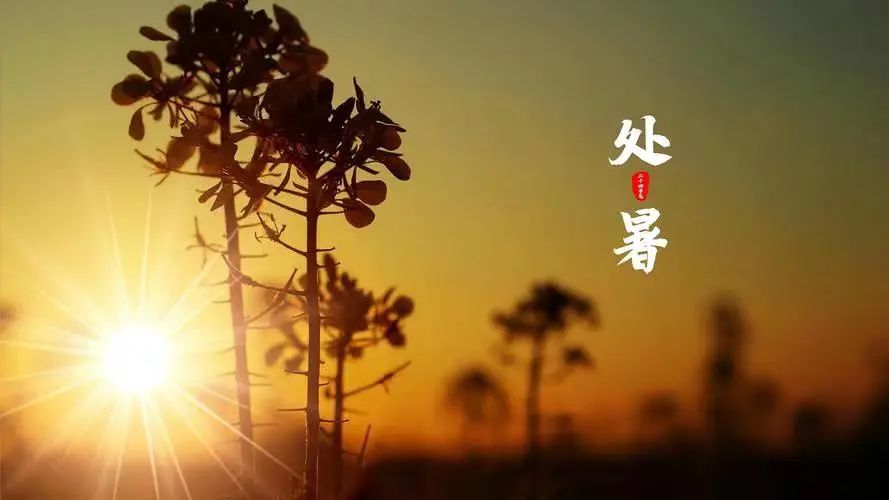 宝博微课堂|金文话节气——处暑 宝博微课堂|金文话节气——处暑